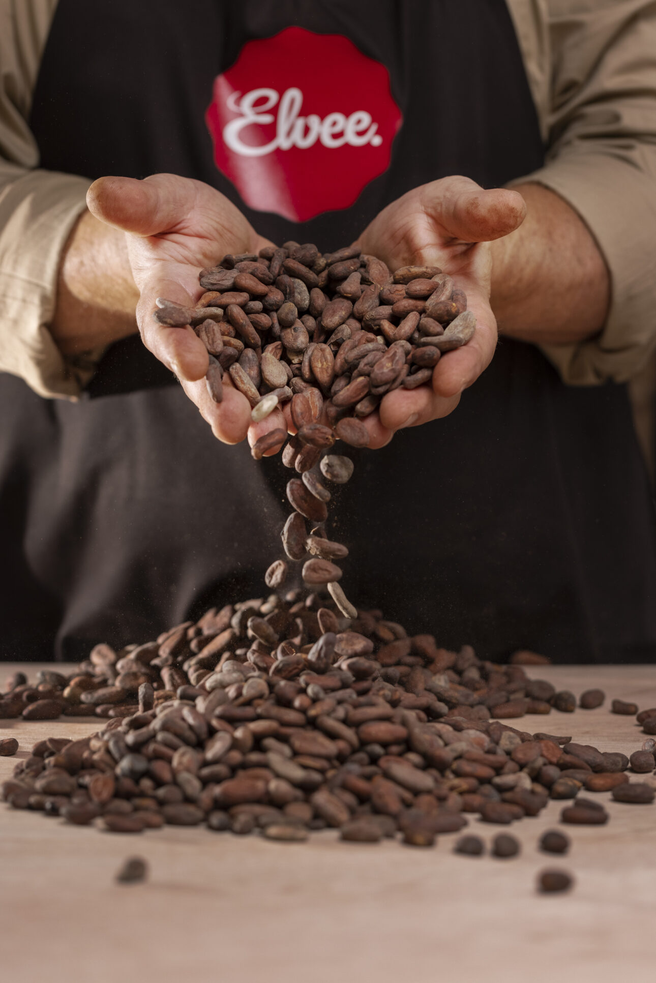 ELVEE_ThomasAbrahams_0985_resize